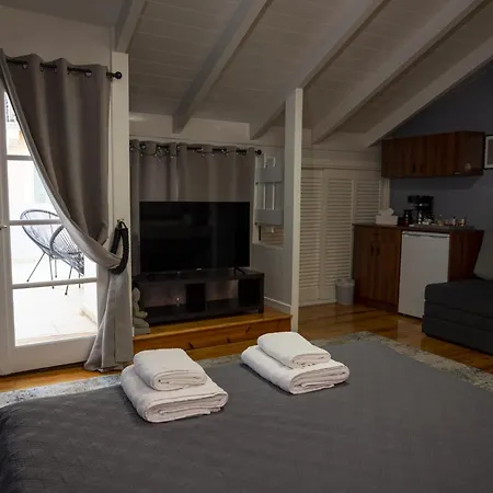 アパート Deisisroom Poseidon ナフプリオ